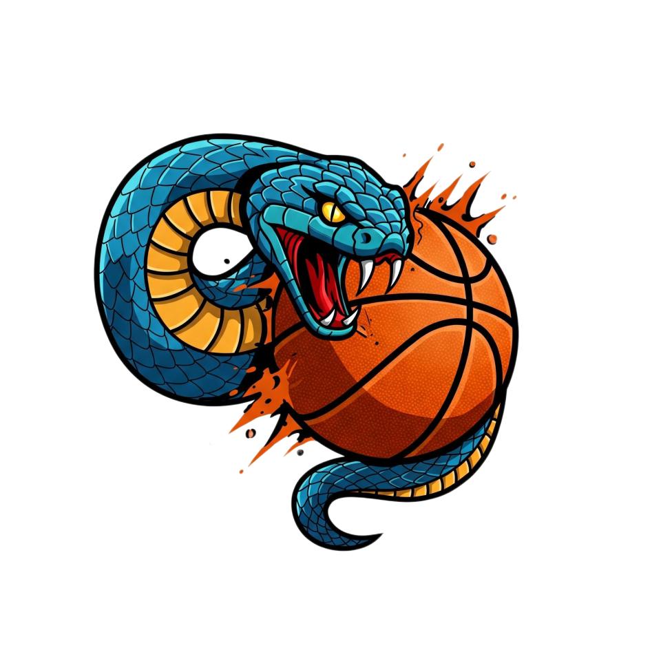 Valley Basketball Logo
